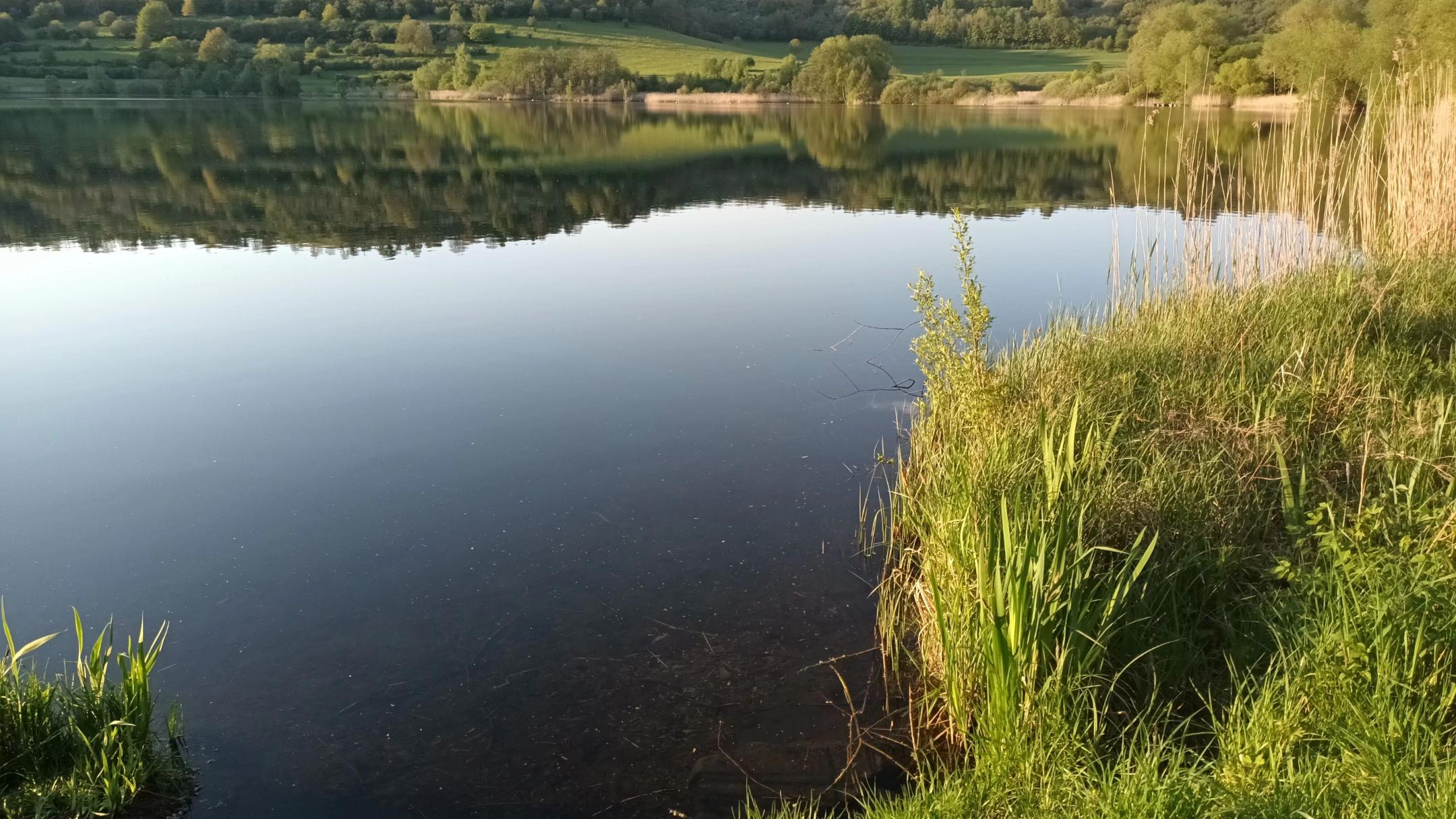Vulkaneifel Maar  Foto: privat
