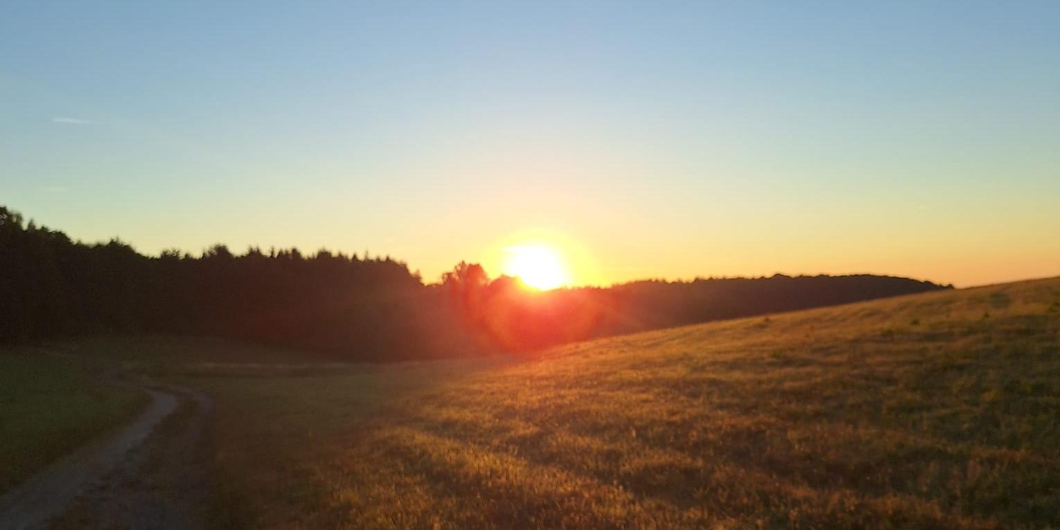 sonnenaufgang mit Feld im Vordergrund (c) KLB Trier sonnenaufgang mit Feld im Vordergrund