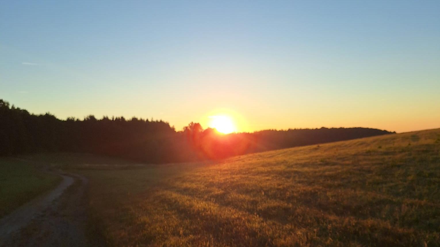 sonnenaufgang mit Feld im Vordergrund