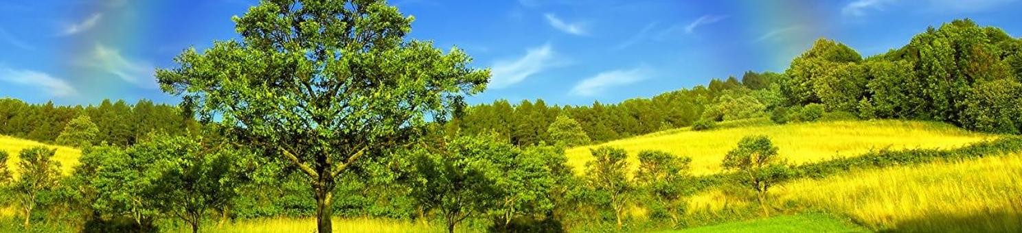 Katholische Landvolkbewegung im Bistum Trier e.V.