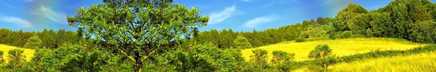 Katholische Landvolkbewegung im Bistum Trier e.V.