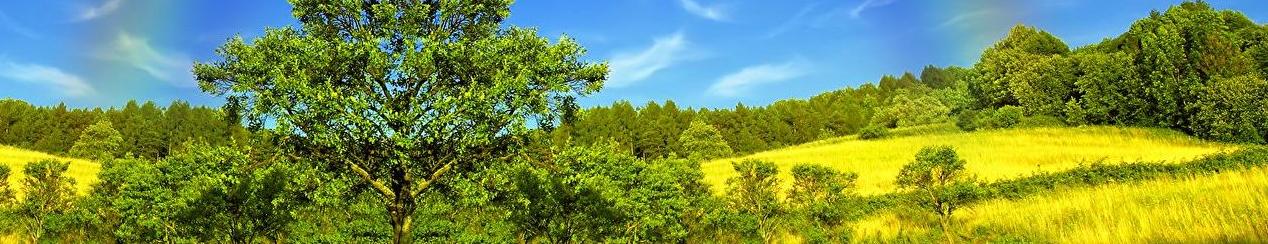 Katholische Landvolkbewegung im Bistum Trier e.V.